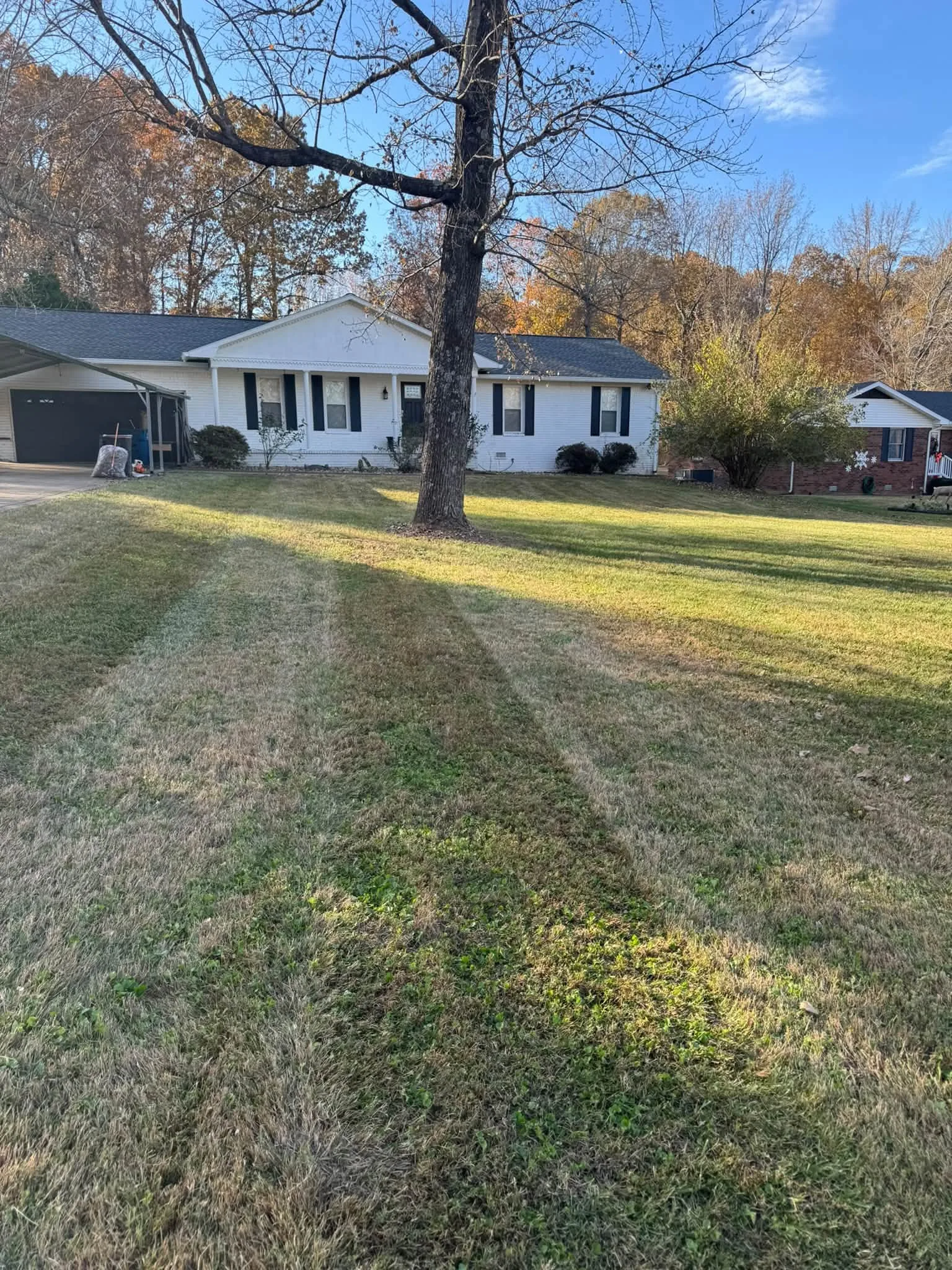 After leaf cleanup