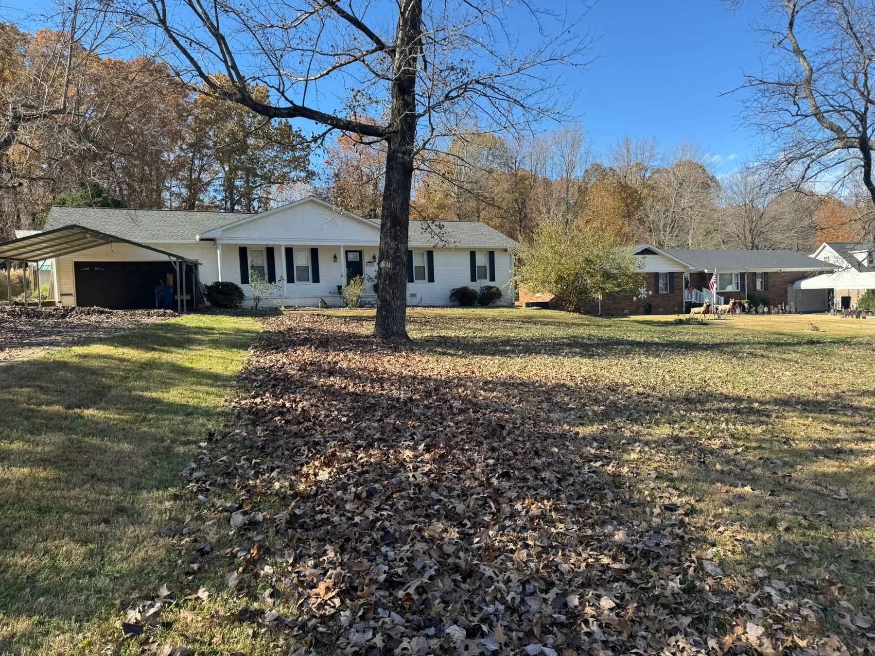 Before leaf cleanup