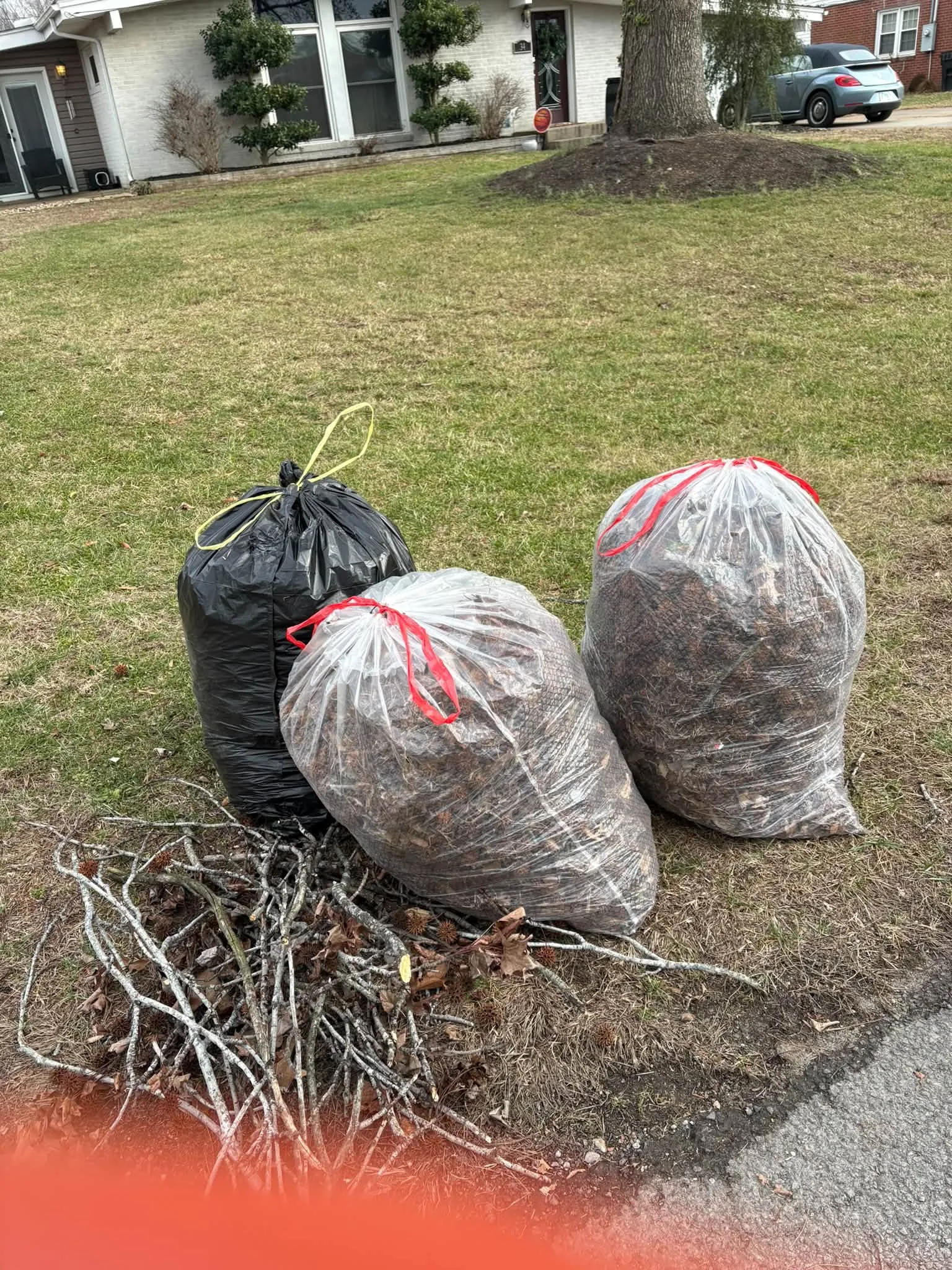 Bagged yard waste after cleanup