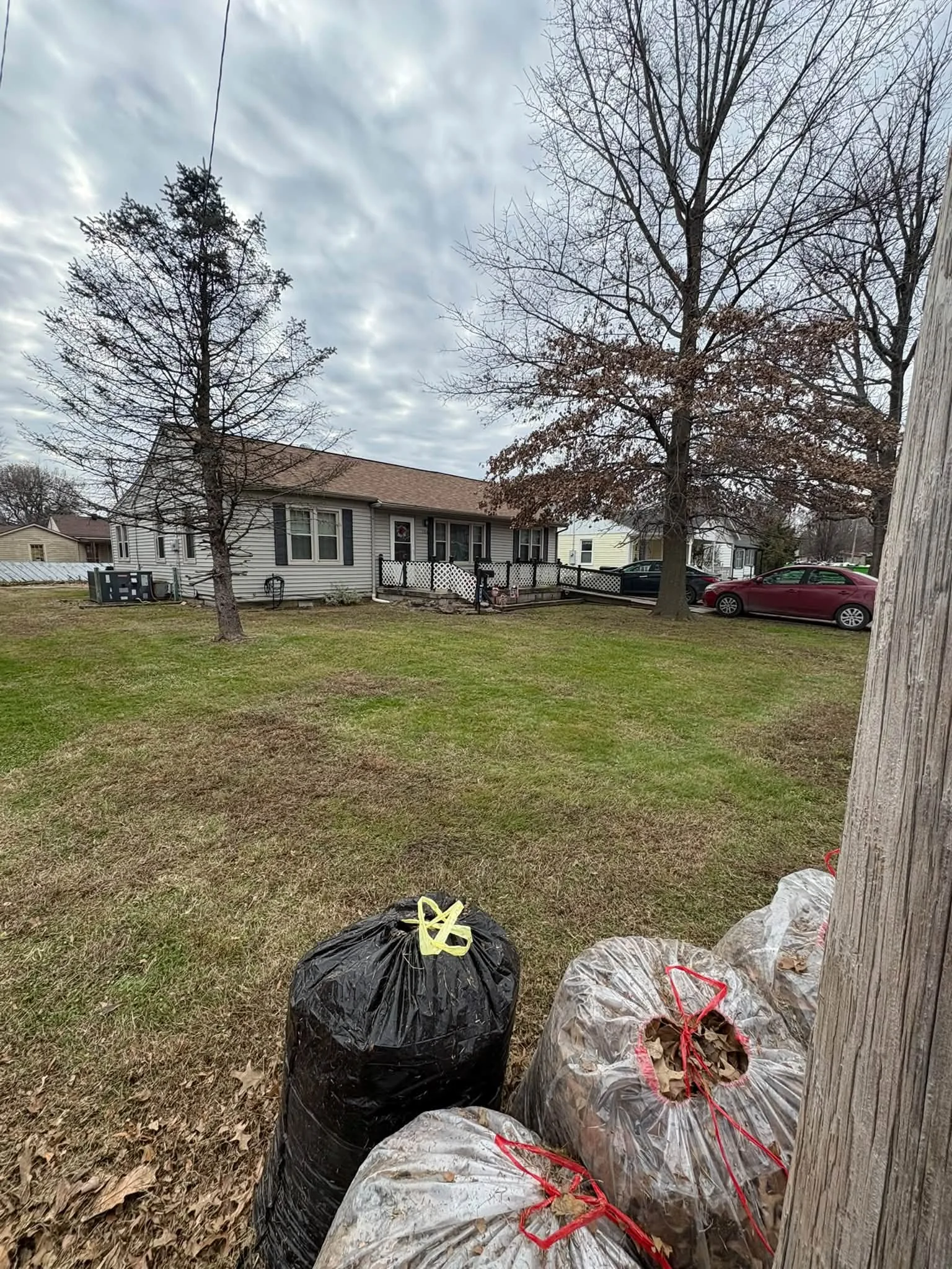 Leaf cleanup bags ready for removal