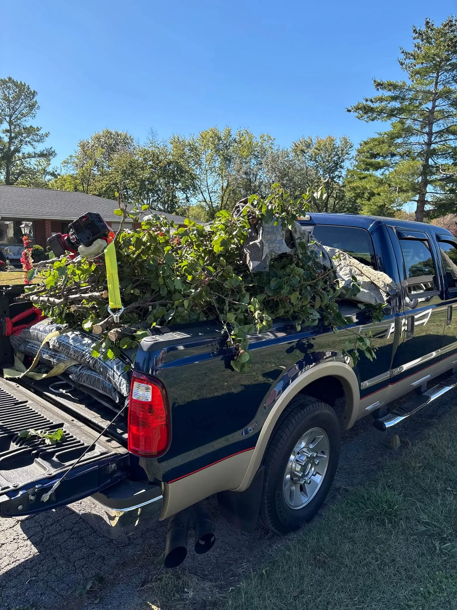 Truck loaded with yard debris for cleanup